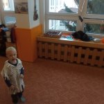 phoca_thumb_m_kostmov dopoledne 62 Fotogalerie